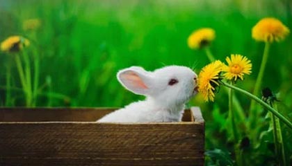 创造历史！高亭宇摘得中国冬奥首枚男子速滑金牌